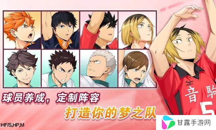 排球少年新的征程中文版
